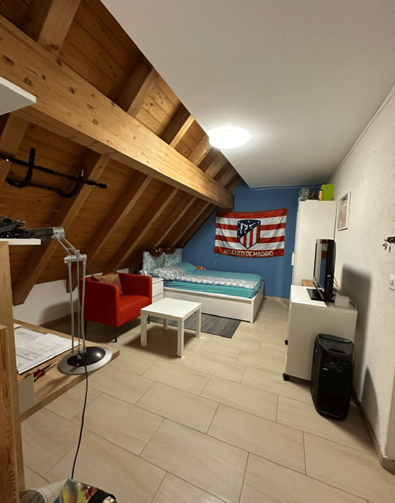 Schöne Wohnung mit Cheminée in Birmensdorf ZH (5)