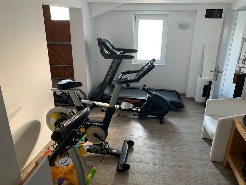 Maison Mitoyenne dans Propriété de prestige à Jouxtens-Mézery rénovée avec piscine. (14)