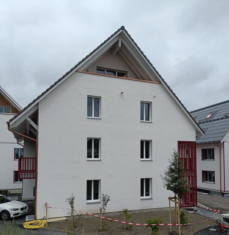 6.5-Zimmer Neubauwohnung in Mehrfamilienhaus in Benzenschwil (2)