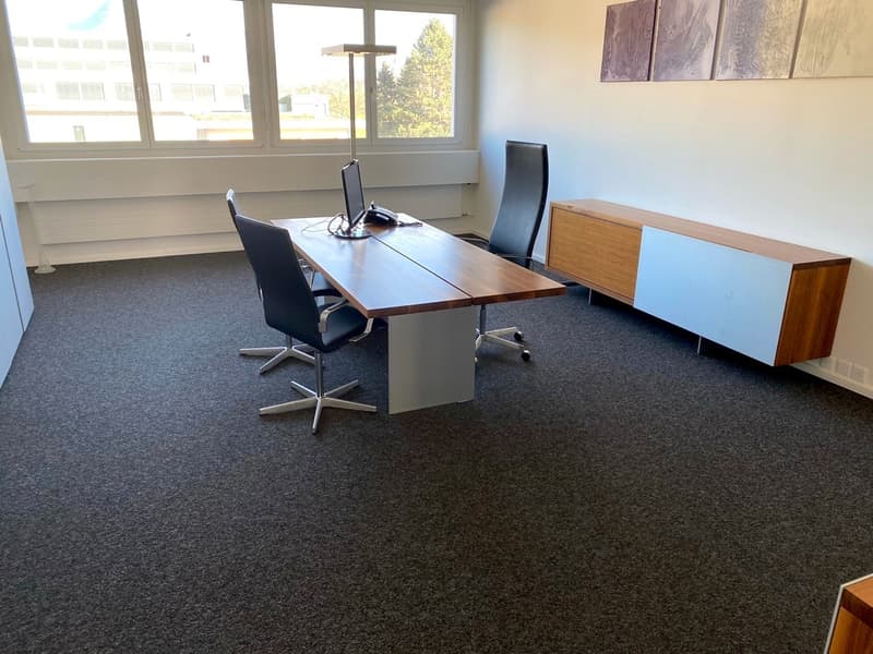 large office with a big table, black chairs, monitor, telephone, cabinet, windows, grey carpet