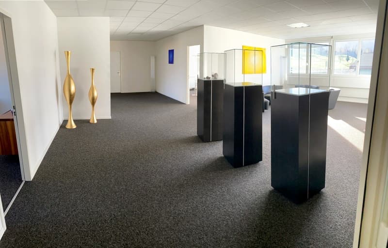 modern office space with white walls, carpeted floor, black pedestals with glass tops, vases, paintings on the wall, windows with a view