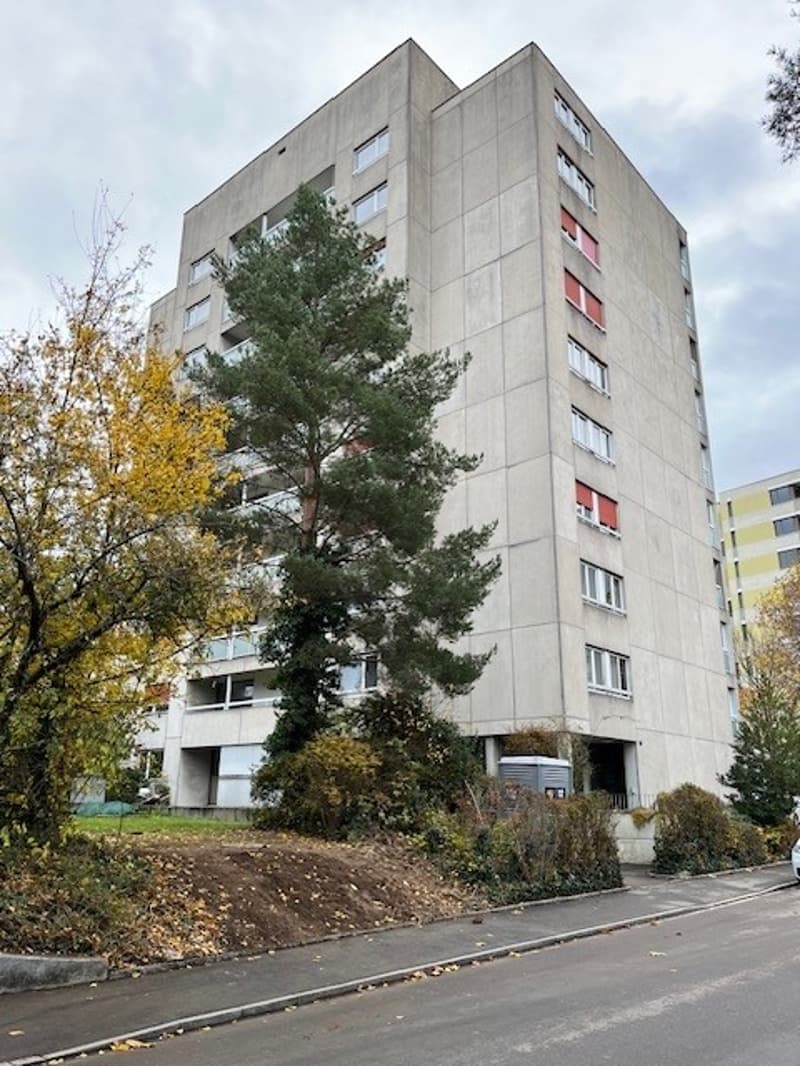 Rüttihardstrasse 8, 4127 Birsfelden