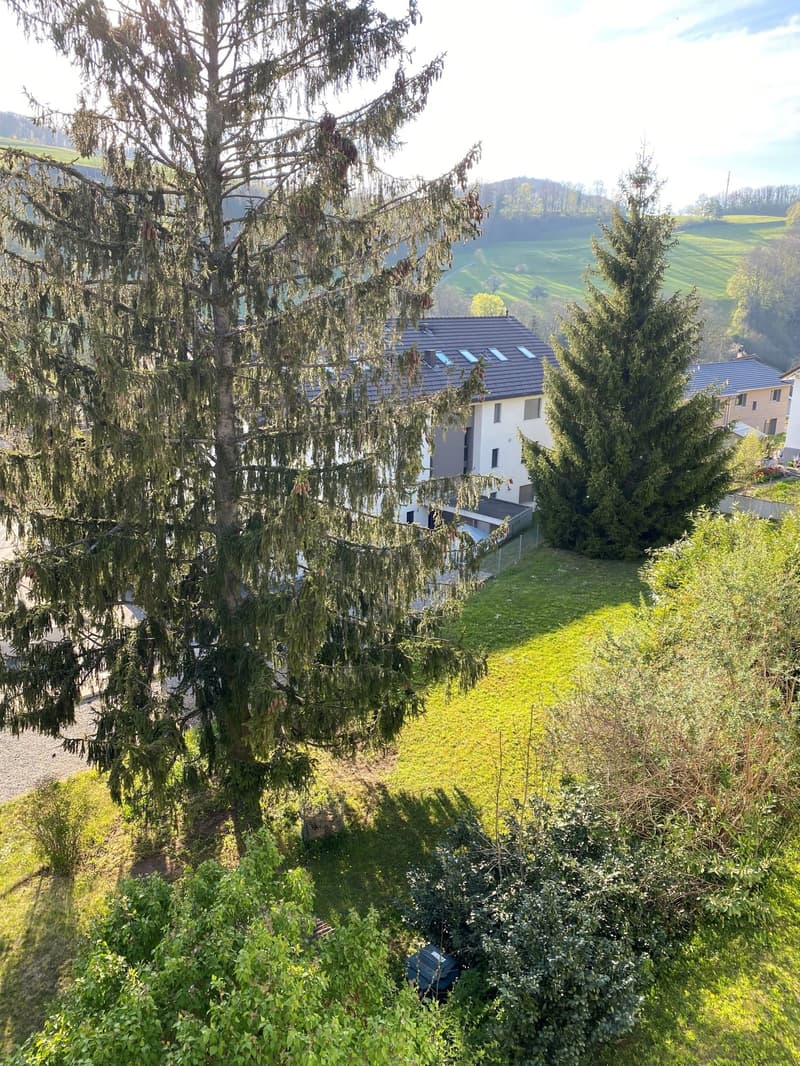 The image shows a scenic rural landscape with a residential building surrounded by lush greenery, including tall pine trees and a grassy field. The building appears to have a balcony or terrace overlooking the picturesque scenery.