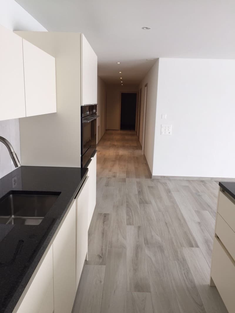 Exklusive 4.5-Zimmer Terrassenwohnung: Modern, grosszügig, mit See- und Bergblick