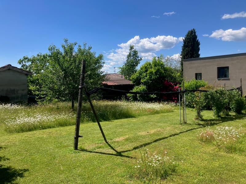 an open grassy area with flowers, a net, trees, and buildings in the background