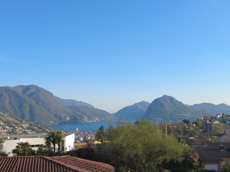 Mountains, lake, city, trees, houses