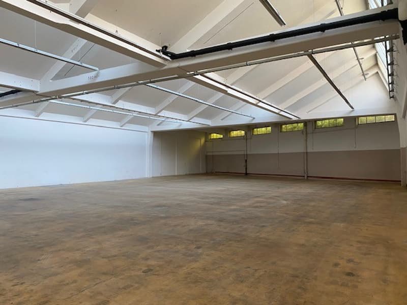 spacious room, high ceilings, white walls, wooden flooring, ceiling lights