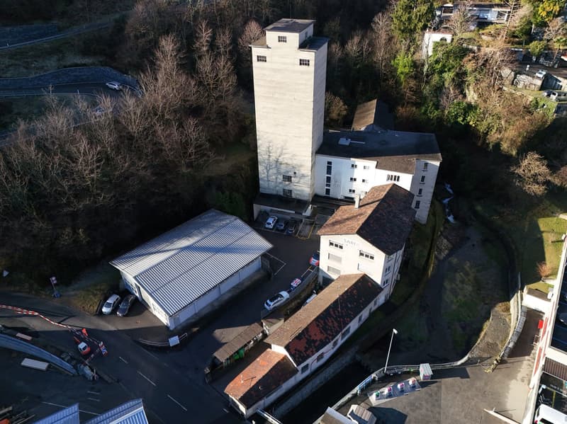 Edificio commerciale-artigianale a Losone