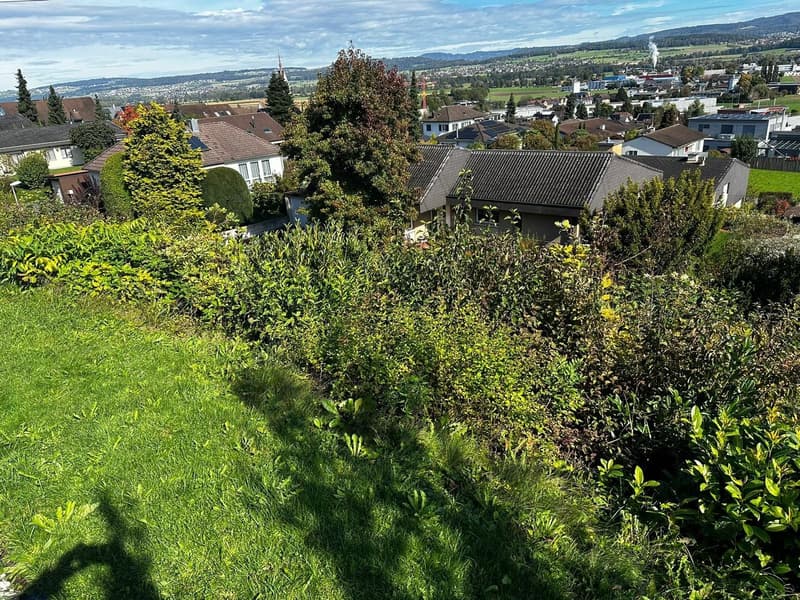 Bauland in Merenschwand | homegate.ch