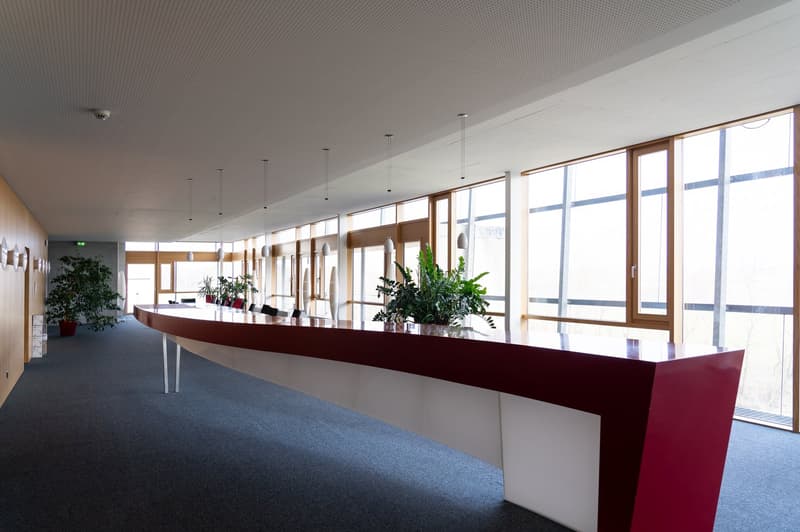 Large open lobby area with a long curved reception desk, floor-to-ceiling windows, potted plants, and pendant lighting fixtures.