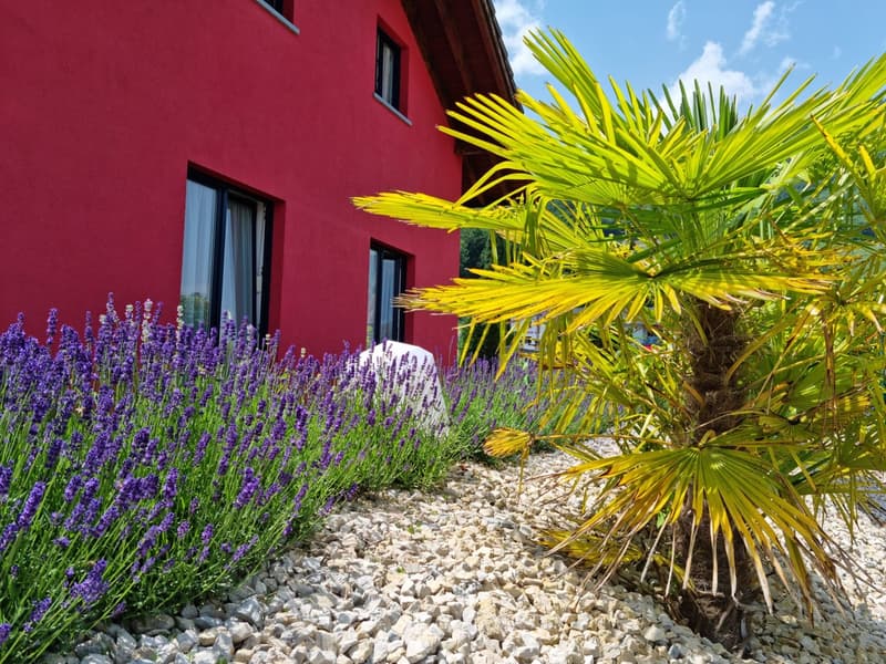 Maison individuelle à Vionnaz