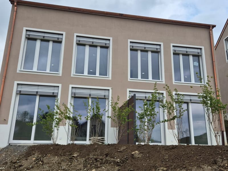 Doppeleinfamilienhaus in Döttingen