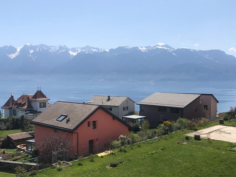 Splendide appartement au cœur des vignes avec vue imprenable sur le lac et les Alpes !
