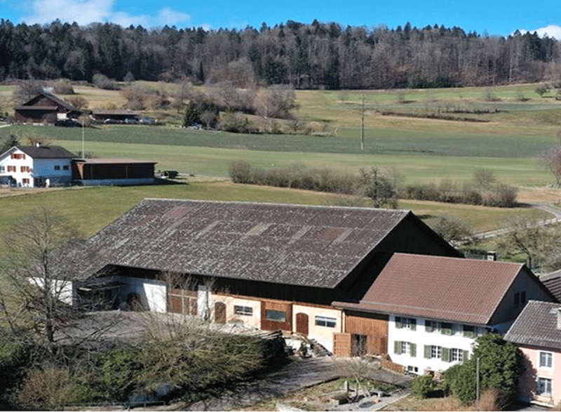 Bauernhaus mit Weideland in Spezialzone ..., Bücklihof 1, CHF 2500000 | homegate.ch