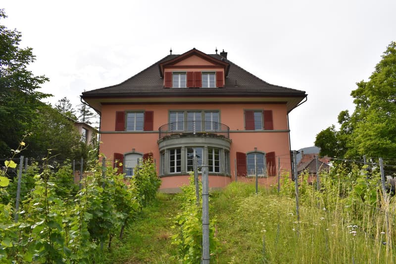 Mehrfamilienhaus / Wohn- und Geschäftsli..., Baselstrasse 77, CHF 2250000 | homegate.ch