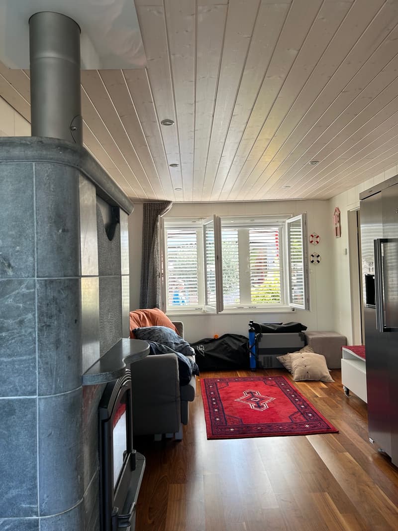 living room, stone fireplace, wooden floor, white walls, couch, rug, window with blinds