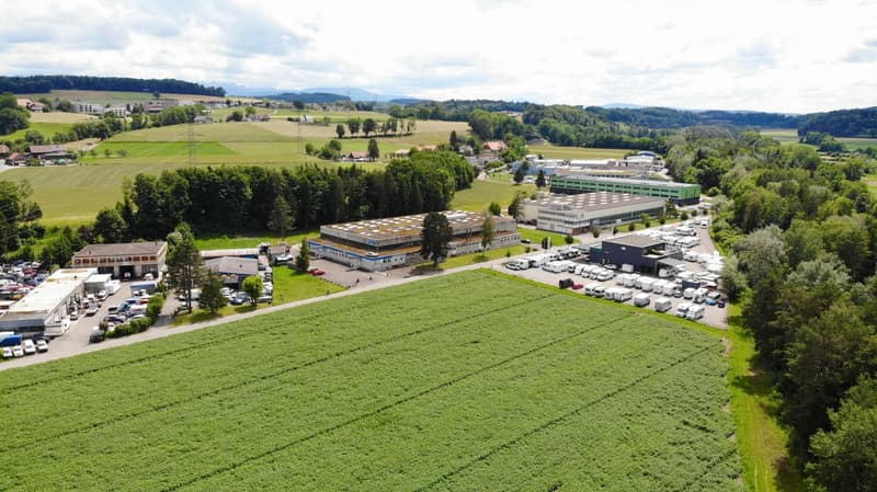Verkauf eines attraktiven Gewerbegrundstücks in Bösingen (FR) | homegate.ch