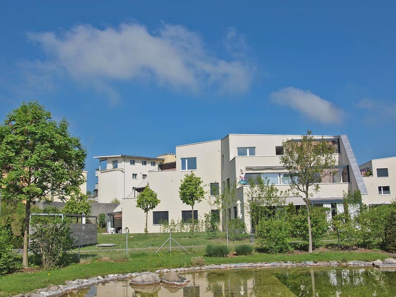 Attraktive hochwertige Wohnungen in Eschenbach LU | homegate.ch