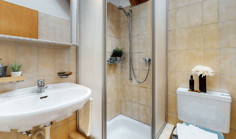 Tiled bathroom with a shower enclosure, sink, and toilet. There is a shelf with a potted plant and some toiletry items.
