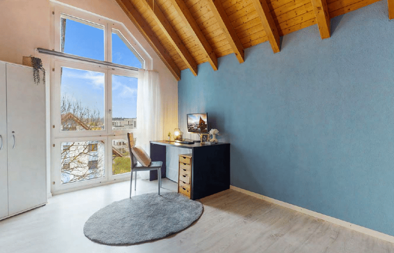 Spacious bedroom with vaulted wooden ceiling, large windows providing natural light, blue accent wall, desk with chair, and a round gray rug on the hardwood floor.
