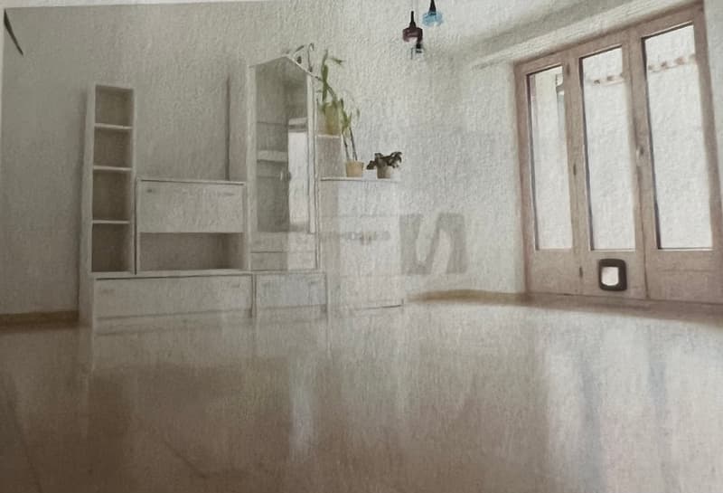 Wohnung in Dottikon | homegate.ch