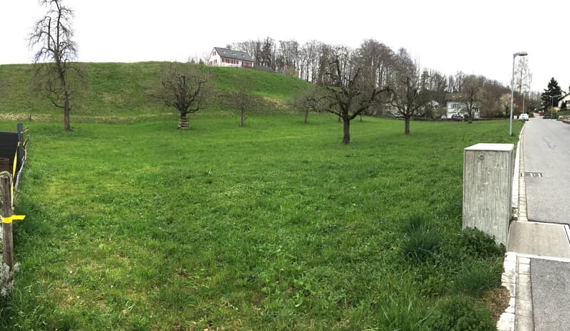 Bauland in Rüti ZH | homegate.ch