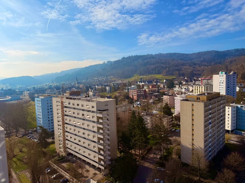 Langäckerstrasse 15, 8957 Spreitenbach