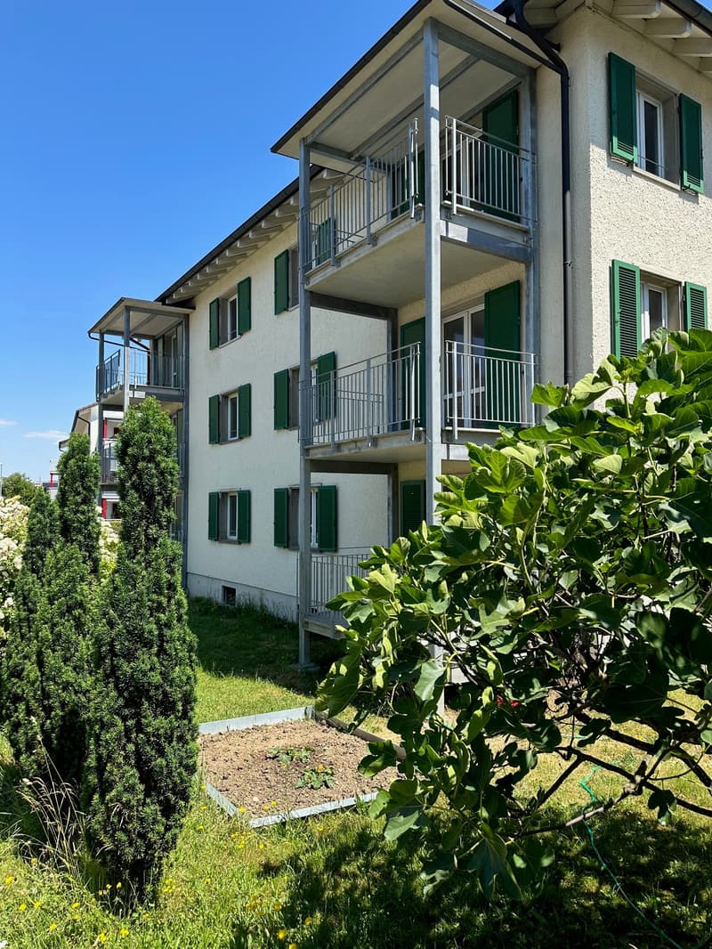 3-story apartment building with green shutters, balconies, and a garden area in the foreground with plants and greenery.
