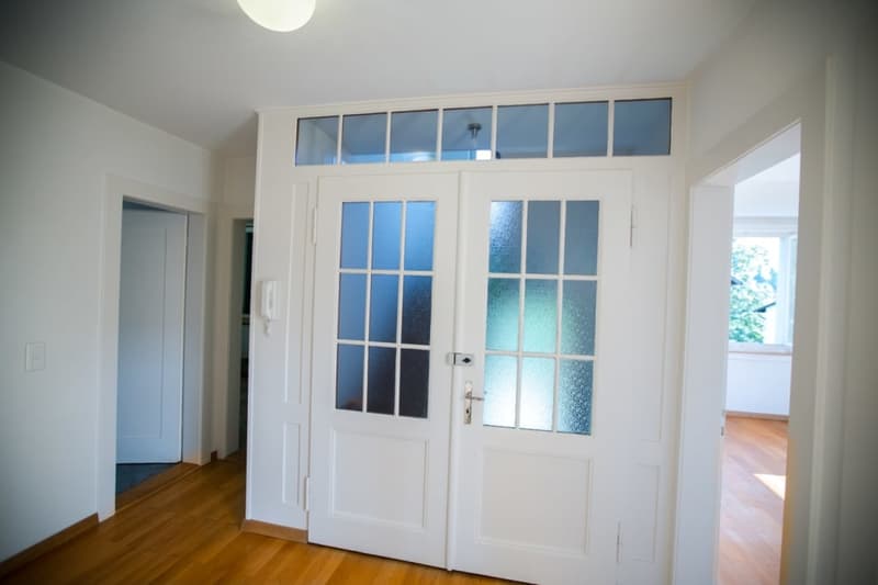 wide hallway, two white doors, hardwood floor, glass windows, skylight