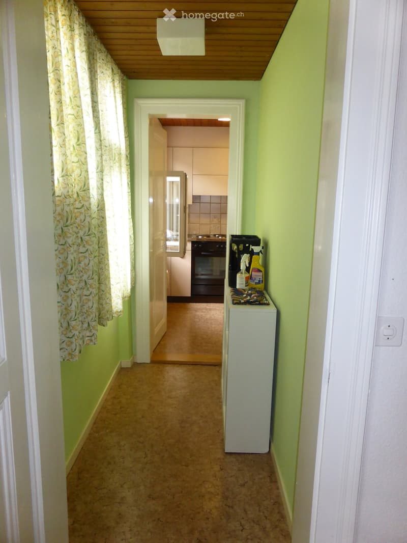 Narrow hallway with green walls, wood-paneled ceiling, floral curtains, and a washing machine visible in the adjacent room
