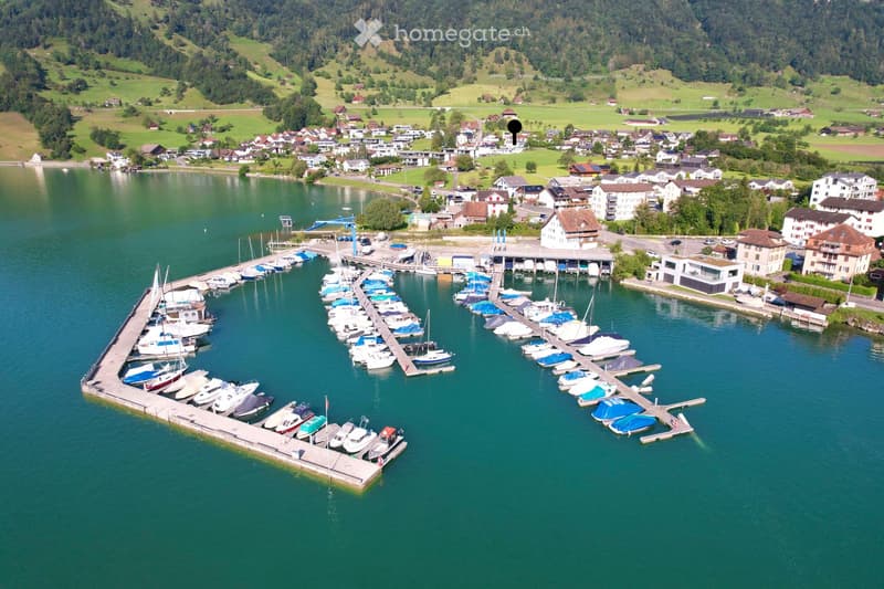 Baulandgrundstück am Sonnenhang von Arth | homegate.ch