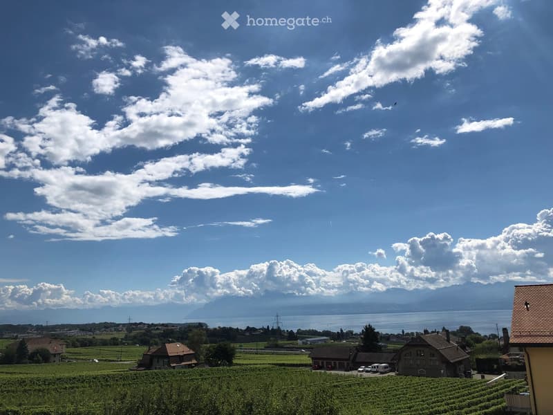 Route de la Versoix, 1185 Mont-sur-Rolle