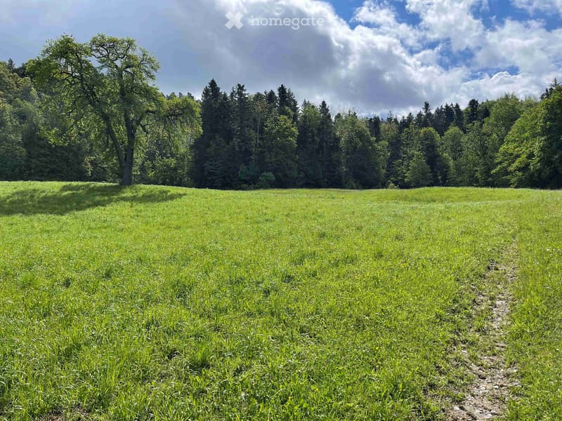 Holweg 10, 9300 Wittenbach