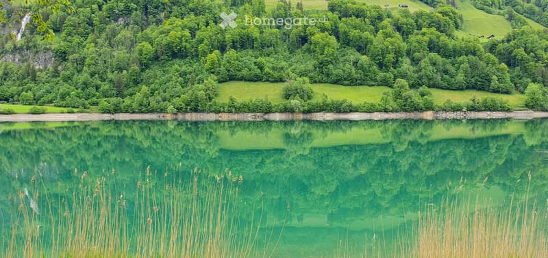 "Bauland in Lungern"