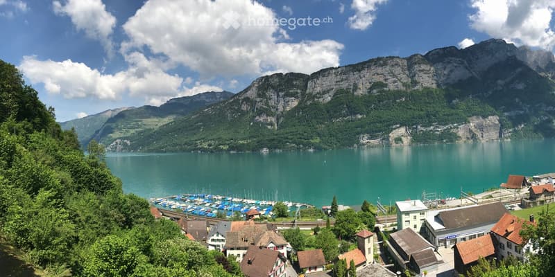 Lake, mountains, houses, trees, boats