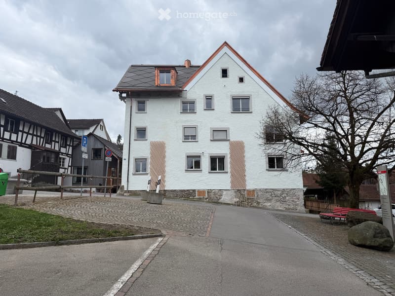 Lichtdurchflutetes Penthouse mit zwei Loggien / Erstvermietung in Oetwil an der Limmat (3)