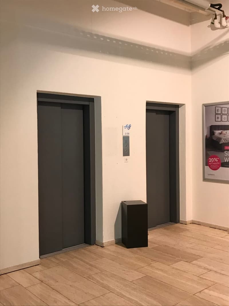 The image shows a hallway with two elevator doors, a wooden floor, and a black box-like object on the floor.