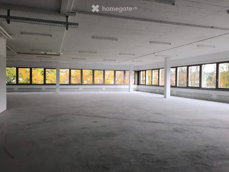 Large open-plan office space with high ceilings, concrete floor, and large windows overlooking a wooded outdoor area. The space appears to be unfinished or under renovation, with exposed ceiling beams and a bare concrete floor.