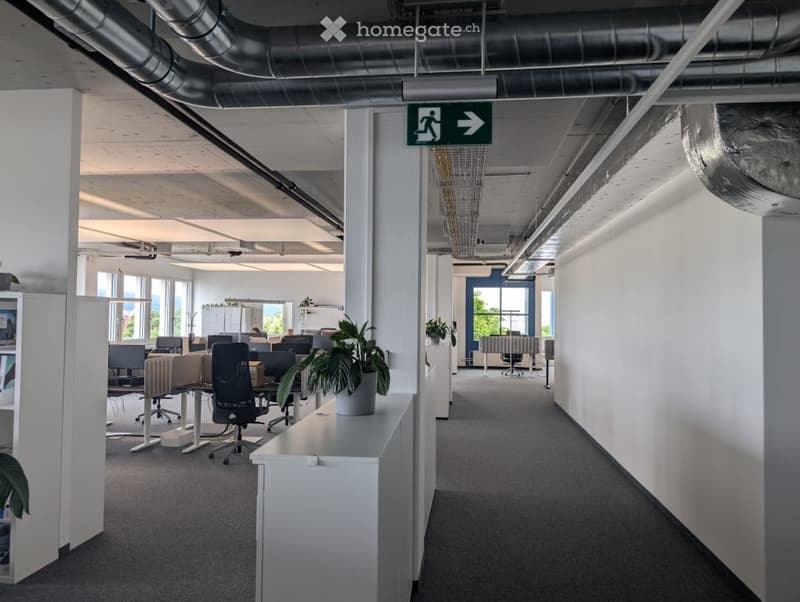 The image shows an open-plan office space with a modern, industrial design. The space features white walls, gray carpeting, and exposed ductwork and piping on the ceiling. There are several workstations with desks and chairs, as well as some potted plants