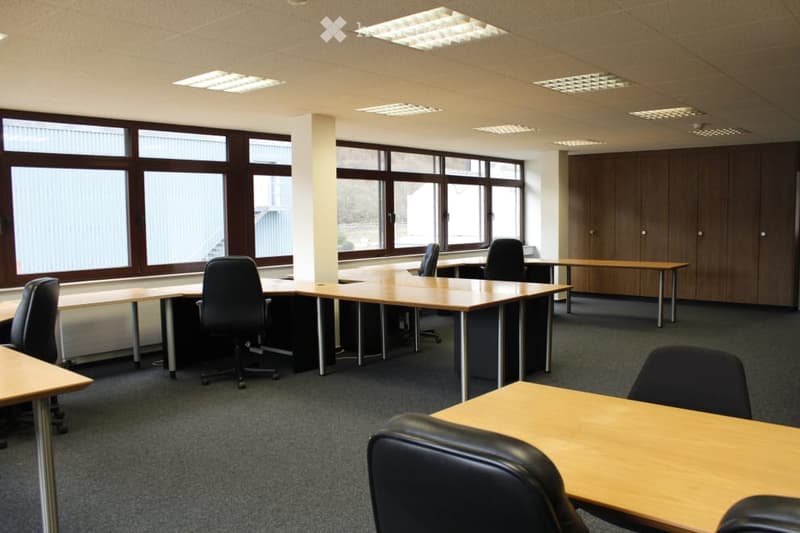 Large open office space with multiple desks and chairs, wooden paneling on the walls, and large windows providing natural light.