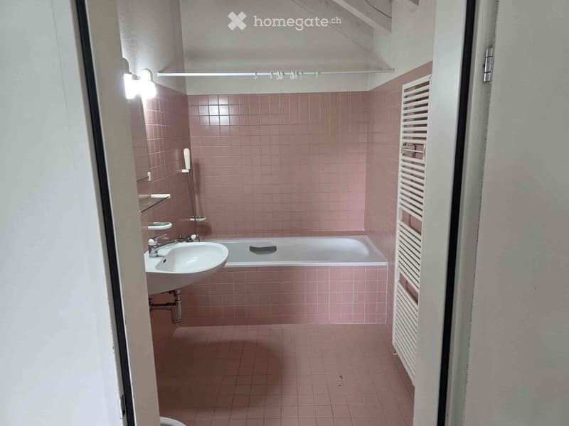 Bathroom with pink tile walls, a bathtub, a sink, and a towel rack. There is also a private washing machine visible in the room.
