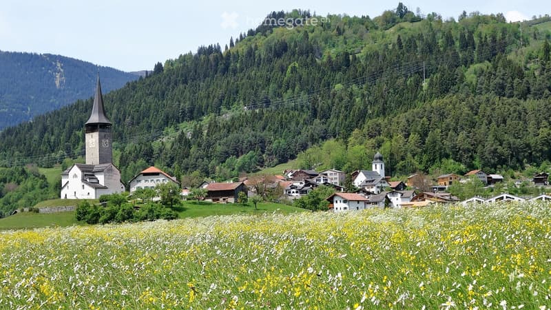 The image shows a picturesque village nestled in a lush, mountainous landscape. The village features a church with a tall spire, surrounded by traditional houses and buildings. The foreground is filled with a vibrant field of yellow and white wildflowers,
