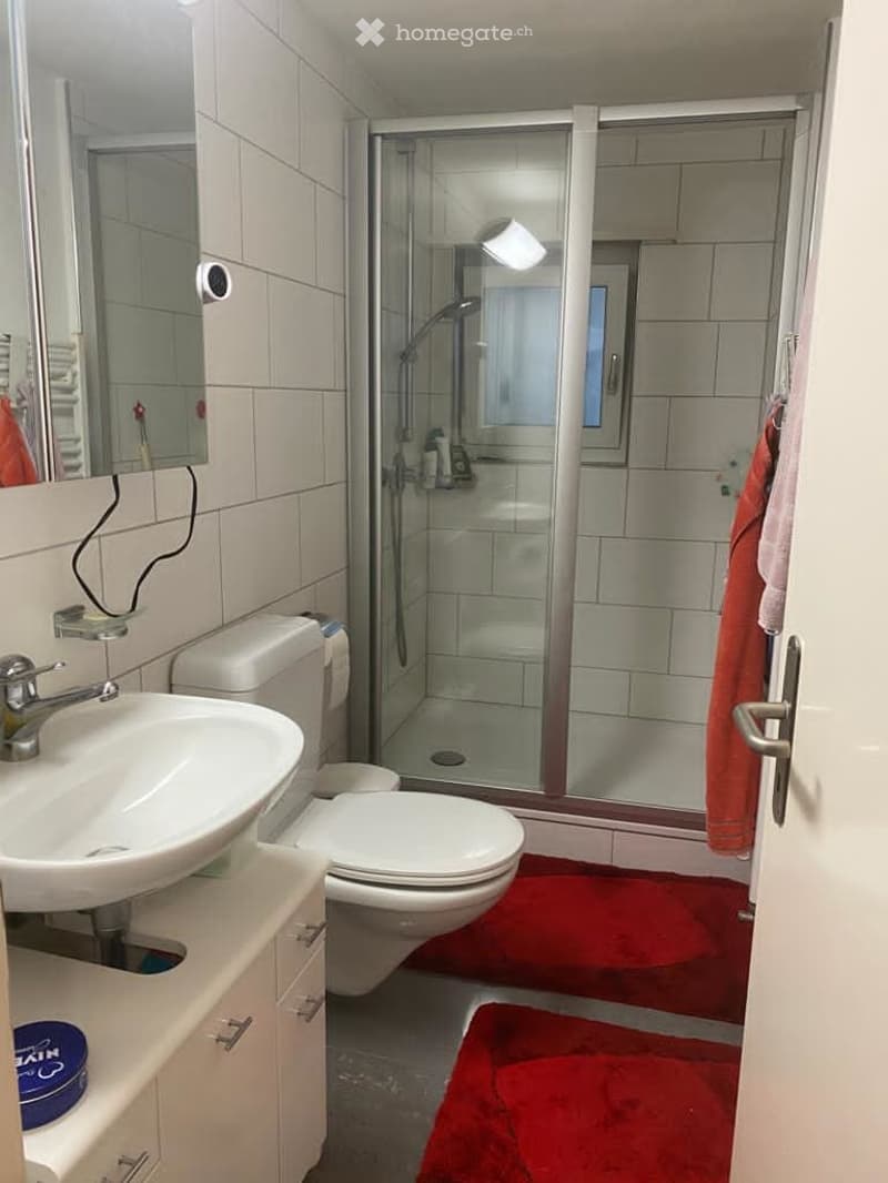 white tiled walls, white toilet, white sink, glass enclosed shower, red rugs, mirror