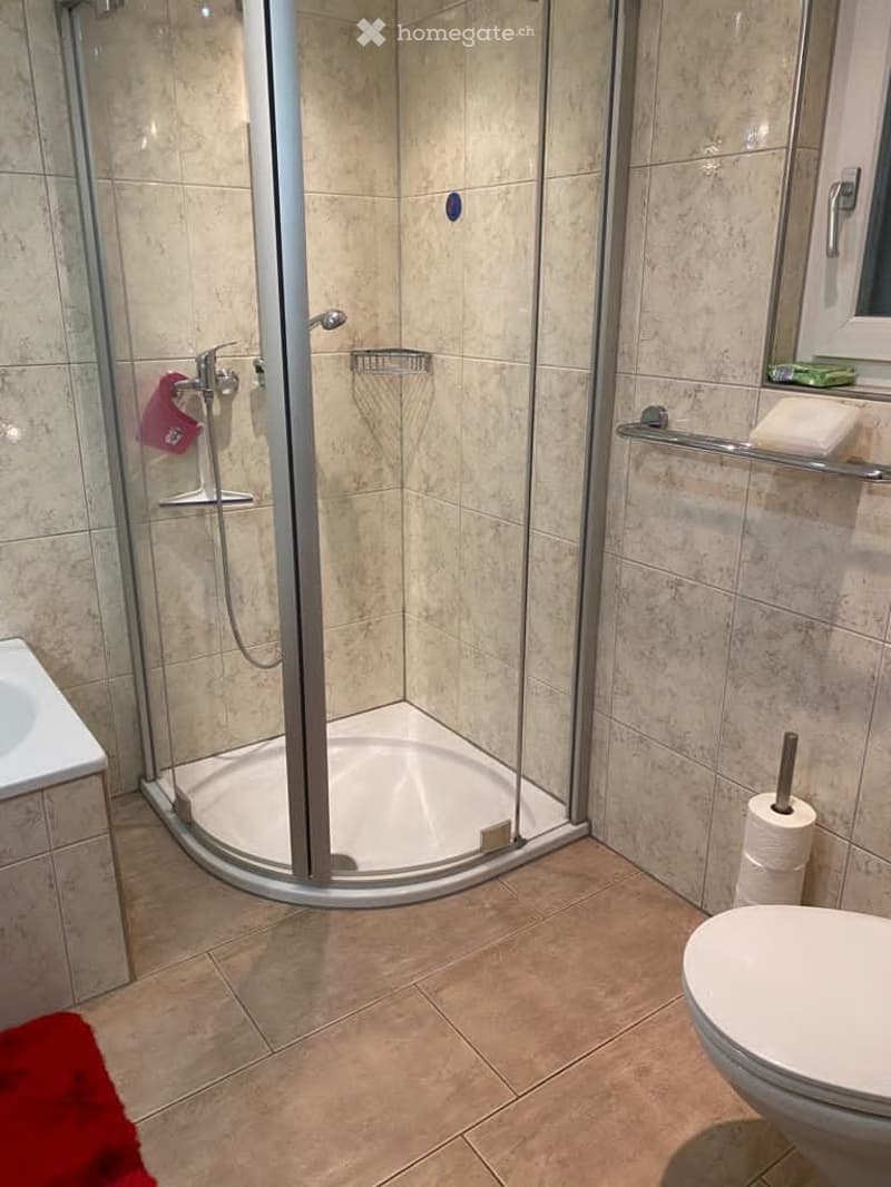 shower, sink, toilet, tile flooring, mirror, storage rack