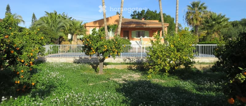 Maison individuelle à Elche / Alicante / Espagne (3)