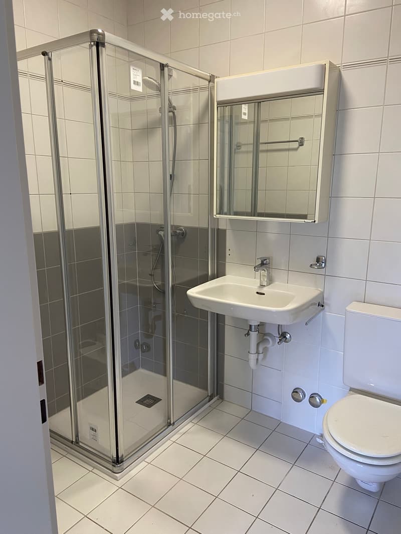 Bathroom with shower enclosure, white sink, white toilet, white tiles, mirror with towel rack, grey tiles on the wall
