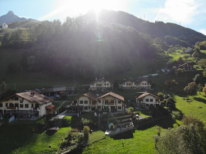 Complex of several chalet style houses with brown roofs, surrounded by green grass, trees, mountains, and sun shining in the background.