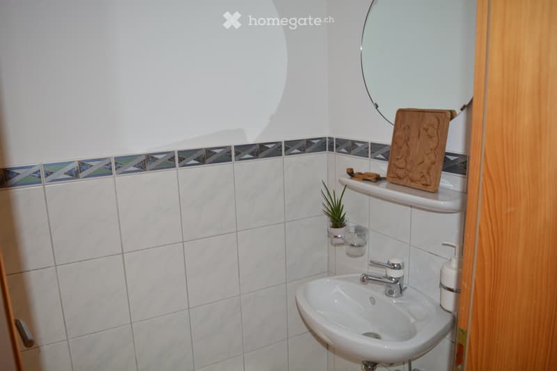 White tiles, white sink, wooden door, mirror, white porcelain, plant, bottle, tap