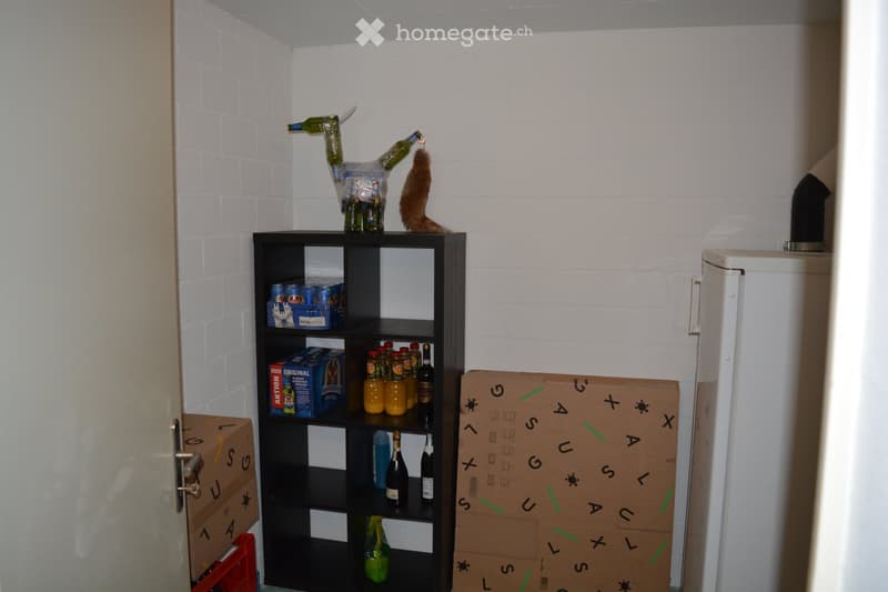 Black bookshelf, cartons, canned drinks, bottles, wine bottles, bags, fridge, boxes with letter alphabets on them
