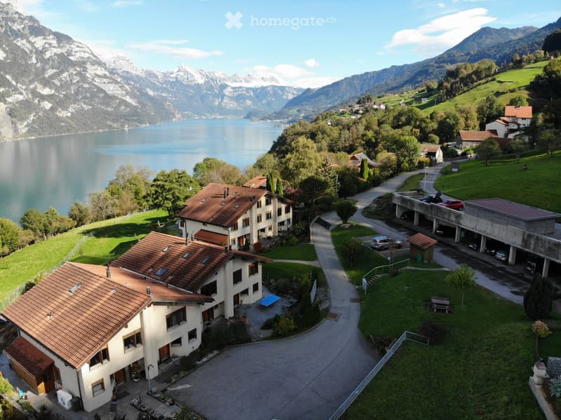Mountain range, body of water, residential buildings, garage, road, greenery